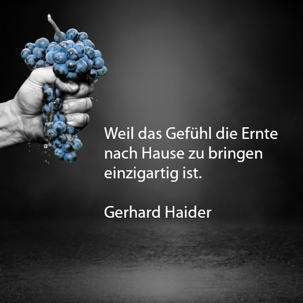 WeinHaider's tweet photo. Darum macht es Spaß Weinbauer zu sein.

#weinhaider #weinausösterreich #qualität #weingut #regional #illmitz #burgenland #weinprobe #weintrinken #spassimglas #wirliebenwein #enjoyaustria #neusiedlersee 
#visitburgenland #burgenlandliebe #burgenlandwein #österreich #burgenlandpur https://t.co/idfVUBwrl0