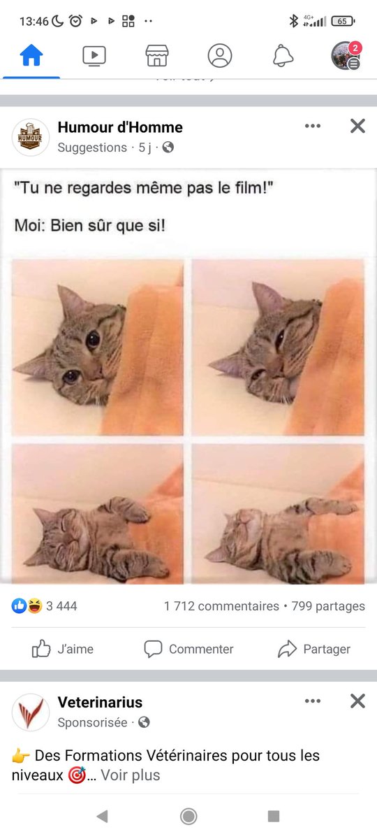 Vous vous reconnaissez les vétos, après vos journées à rallonge ? 😁 <a href="/Doc_Natacha/">Docteur Natacha 👩‍⚕️</a> @caminiature <a href="/VetoNutri/">Dre Vet Charlotte Devaux</a> <a href="/DrToudou/">Dr Toudou</a>