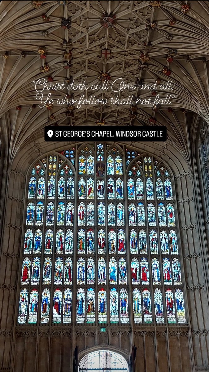 Tree5R's tweet image. 