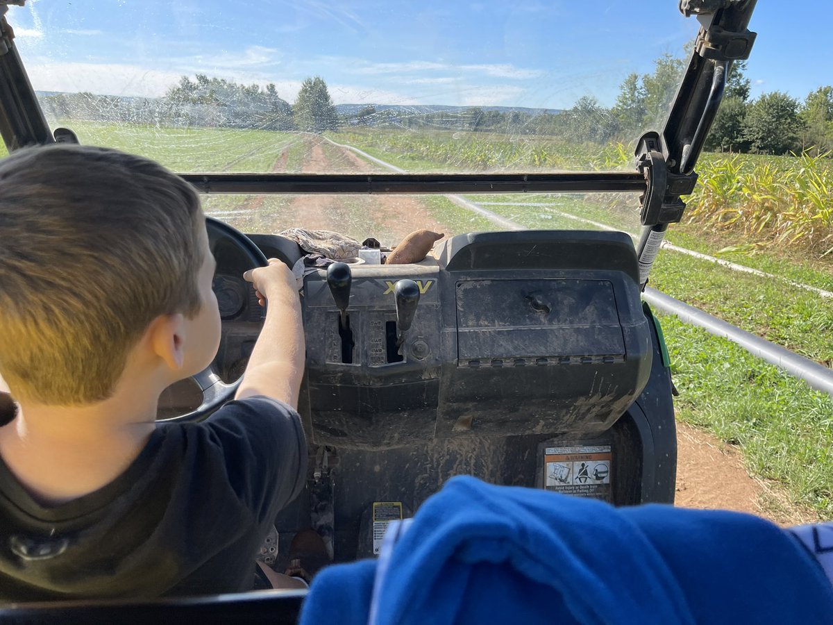 VHsweetpotatoes's tweet image. ‘Mom, our pumpkins look good, our corn and squash look good. Dads crops look good. I think this is going to be a good year.’ 

#heartexploding 🥰

#farmkid #youngfarmer #CdnAg