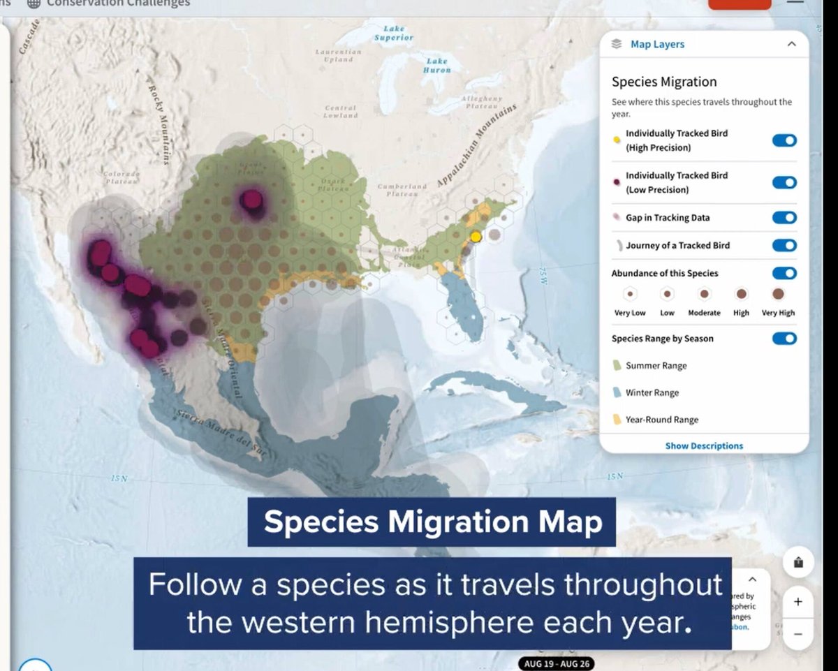 Esri Partners (@esripartners) on Twitter photo Blue Raster <a href="/blueraster/">Blue Raster</a> uses #ArcGIS to help National Audubon Society launch Bird Migration Explorer. An interactive, digital platform that visualizes bird migration data across the western hemisphere. #EsriPartner
esri.social/T0OA50KN165 Blue Raster <a href="/blueraster/">Blue Raster</a> uses #ArcGIS to help National Audubon Society launch Bird Migration Explorer. An interactive, digital platform that visualizes bird migration data across the western hemisphere. #EsriPartner
esri.social/T0OA50KN165