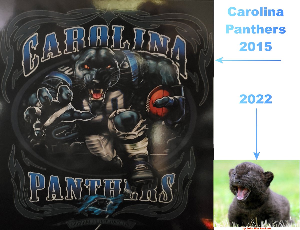 BecknerJohn's tweet photo. @Panthers Sad. I have been a fan since day 1. And I still am. But let's be real. https://t.co/AjCDMMWNbL