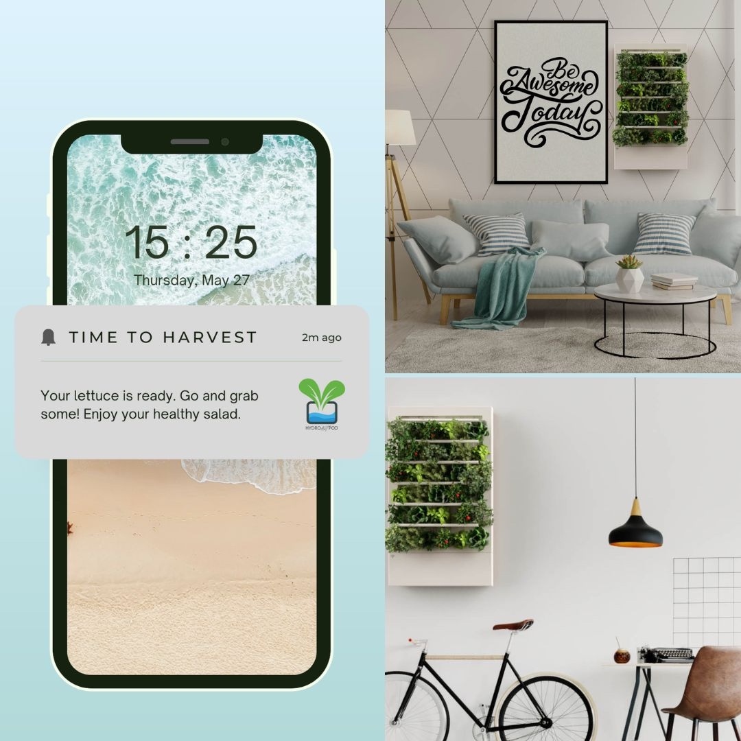 HydroArtPod's tweet photo. #FunFact
Up to 60% of U.S. households now grow food at home since start of the pandemic.

People are actively looking for a smart, easy and convenient way to harvest at home. HydroArtPod is that way.

Join us in leveraging this opportunity. Invest in HydroArtPod. 

#HydroArtPod https://t.co/xCHqZKeHvE