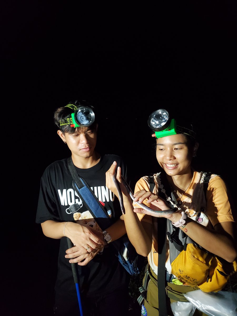 This year, in collaboration with @panupong__arm of <a href="/chulalongkorn/">iCU</a>.university and his amazing lab, UTA launched a research expedition to northern Thailand! 🐸🐍🦎

#ardrc #uta #utascience #herpetology #research #stem #biodiversity #science #education #collaboration