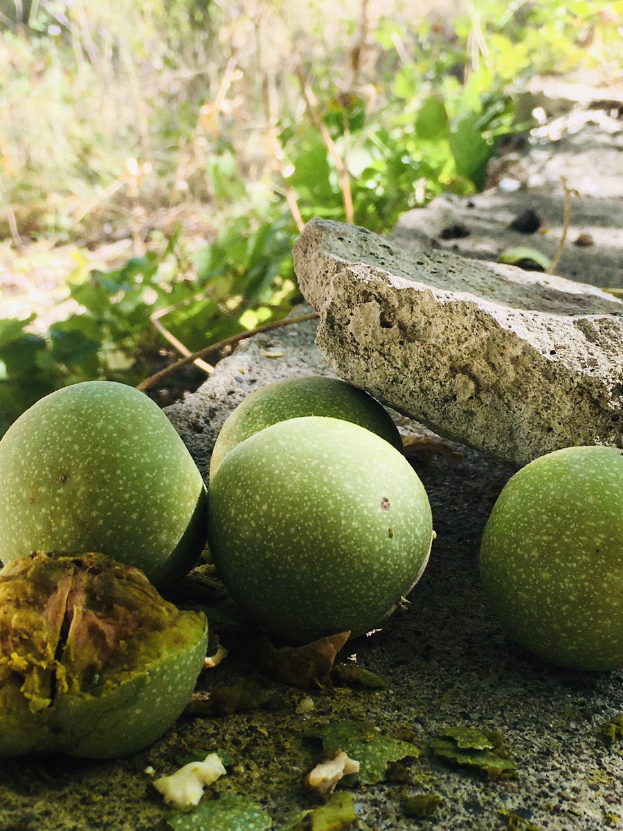 mert (@mertoosas) on Twitter photo 