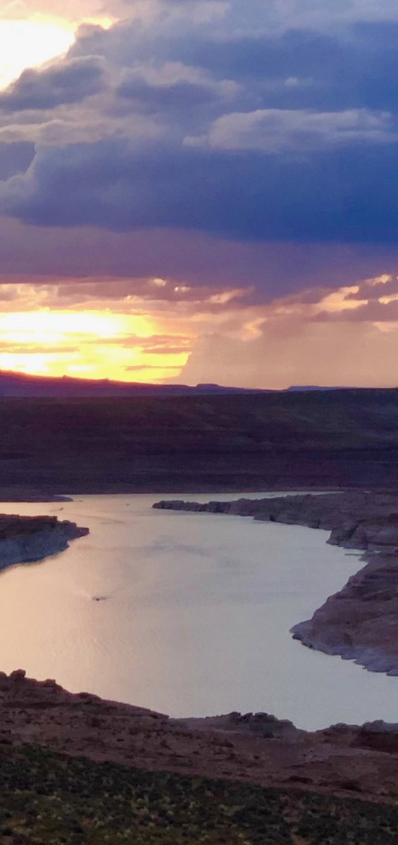 AntelopePoint's tweet photo. It’s Monday time to Shine ☀️☀️ 

#monday #mondaymotivation #vibes #shine #Lakepowell #lakepowellyourway #adventure #boat #boating #explore #utah #arizona #turquoisewater #houseboat #canyons #cliffs #redrock #sandstone #bluesky #antelopepointmarina https://t.co/GfxqgnQkid