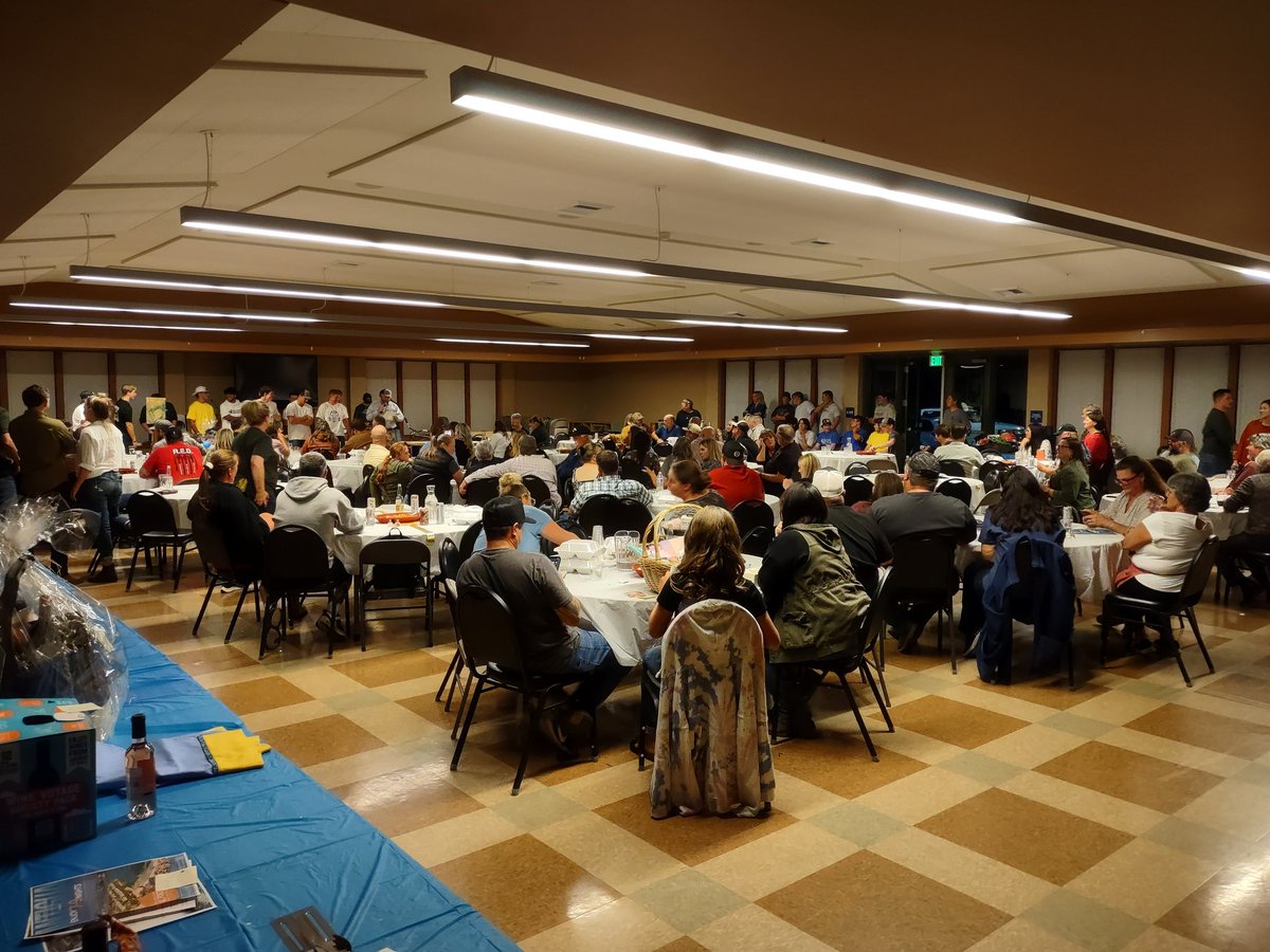 DPHS STAG FOOTBALL tweet media