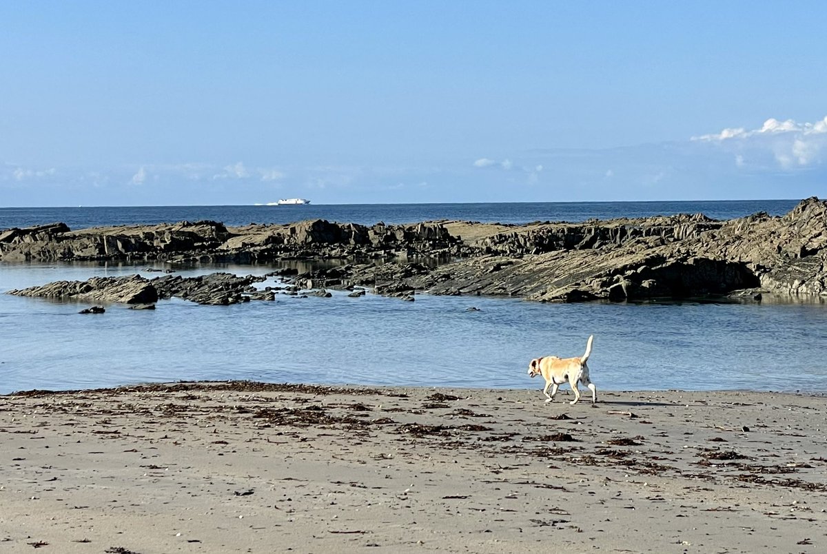 Walking the dog as the distant ferry carries <a href="/hannah_punc/">Hannah</a> to graduation at <a href="/PlymUni/">University of Plymouth</a> and then to a Masters at <a href="/cardiffuni/">Cardiff University</a>