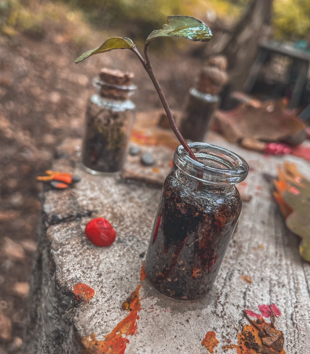 dvforestschool's tweet photo. We had so much fun at our #ForestSchool #HomeEducation Group this afternoon! We made leaf prints, mini terrariums and collected lots of acorns. #HomeEdCymru #HomeEducationLooksLikeThis #ExploringAutumn #OutdoorLearning #Aberdare #RhonddaCynonTaff https://t.co/WbDfIu3rMi