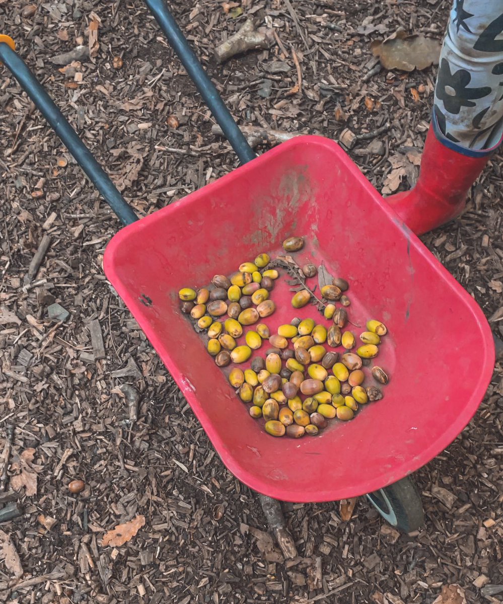 dvforestschool's tweet photo. We had so much fun at our #ForestSchool #HomeEducation Group this afternoon! We made leaf prints, mini terrariums and collected lots of acorns. #HomeEdCymru #HomeEducationLooksLikeThis #ExploringAutumn #OutdoorLearning #Aberdare #RhonddaCynonTaff https://t.co/WbDfIu3rMi