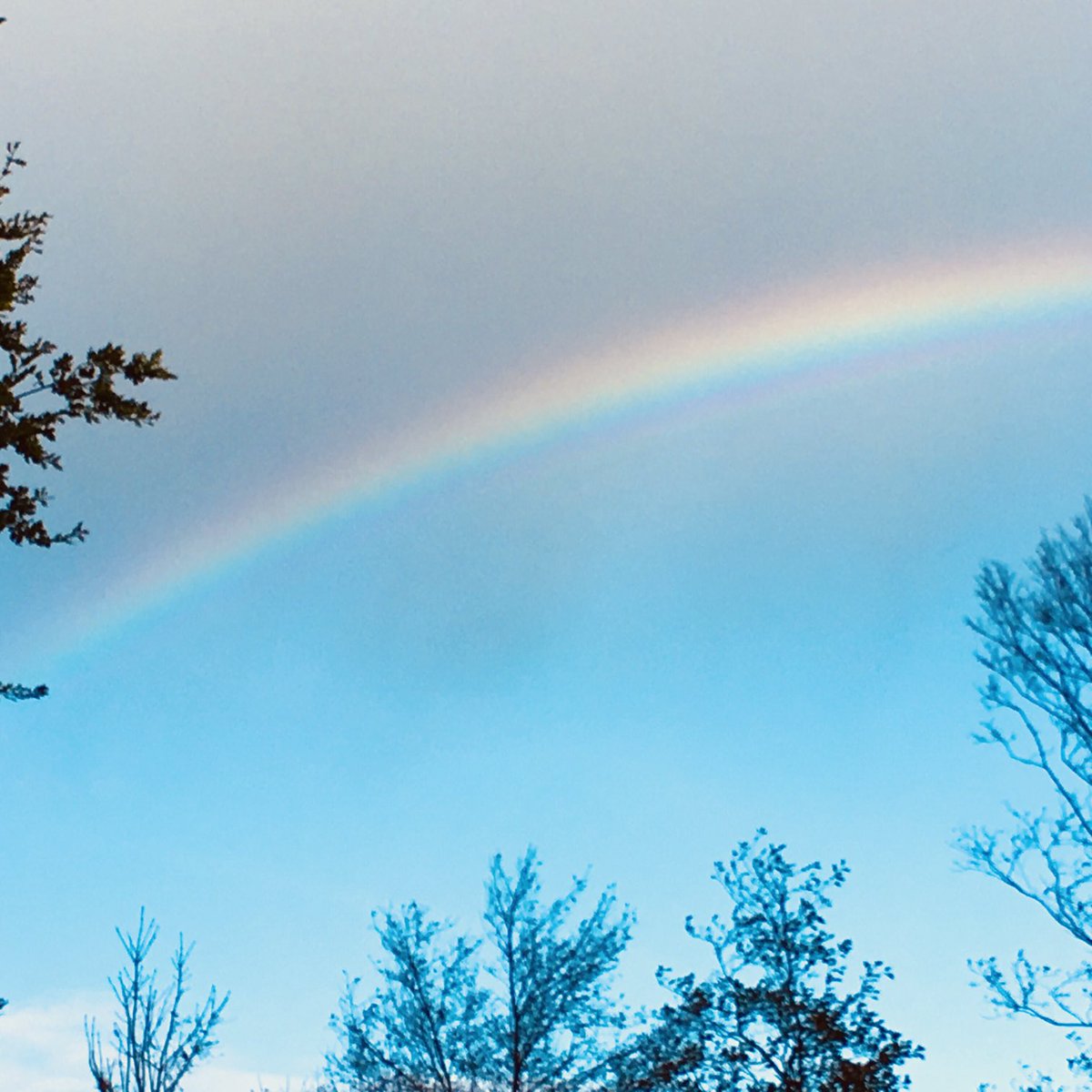 glaubeweiter's tweet photo. Ein #Tag mit #Sonnenschein ☀️ #dunklen #Wolken ☁️💨#Regenschauern 🌧 + kurzen #Wolkenbrüchen 💦 Quasi #Aprilwetter im #September 🤷♀️ “Gott gebe dir für jeden Sturm einen Regenbogen, für jede Träne ein Lachen, für jede Sorge eine Aussicht + eine Hilfe in jeder Schwierigkeit” Irisch https://t.co/GJn5QuGDAz