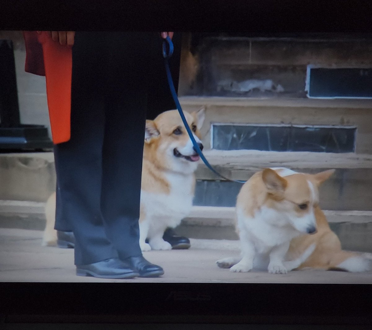 natasha_pond's tweet photo. Just so heartbreaking 

#queensfuneral
#QueenElizabethII #queenscorgis https://t.co/txtyAv4M7F