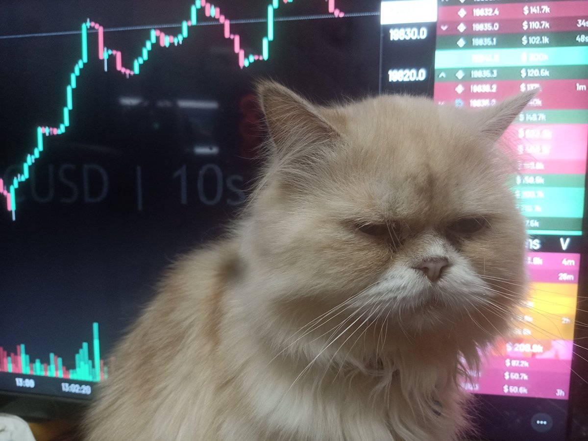 DizzystoreNft's tweet photo. GM World
I 'm  fine  in the bear market  😆 https://t.co/QpjUdz8xtR