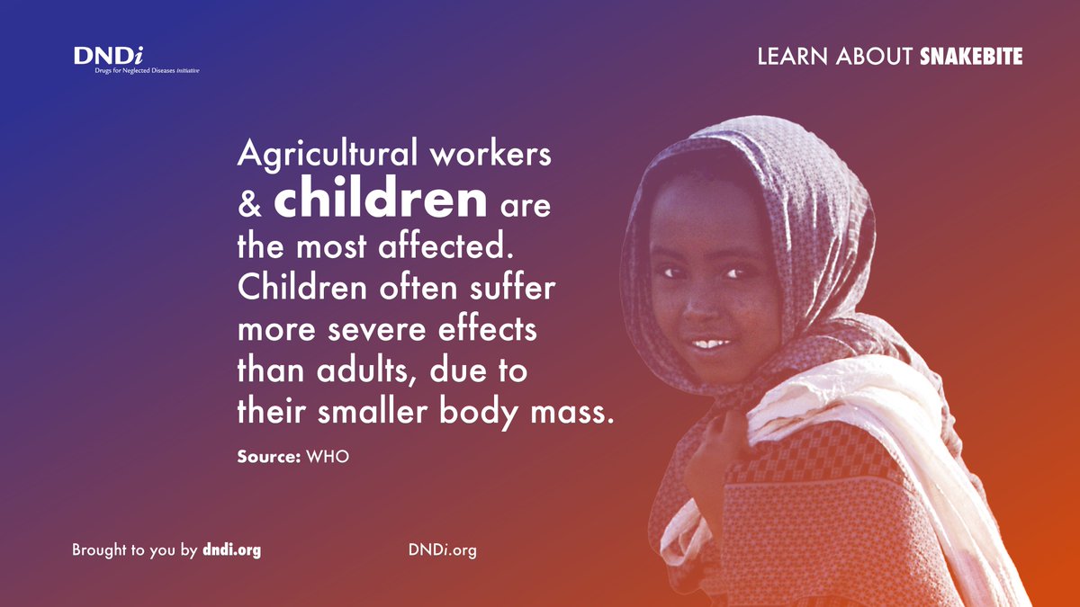 EADirectorDNDi's tweet photo. According to @WHO, an ongoing crisis is restricting access to safe, effective antivenom treatment for snakebites in many regions, particularly sub-Saharan Africa.
 
This has contributed to over reliance on alternative treatments such as traditional medicine. #snakebiteday22 https://t.co/yq43nHd6AM