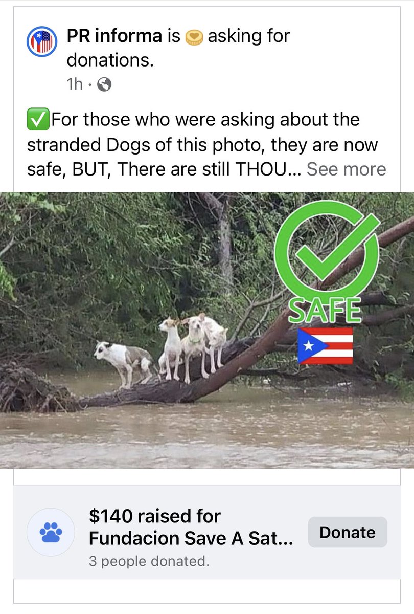 imagemakerpr's tweet image. Saveasato.org