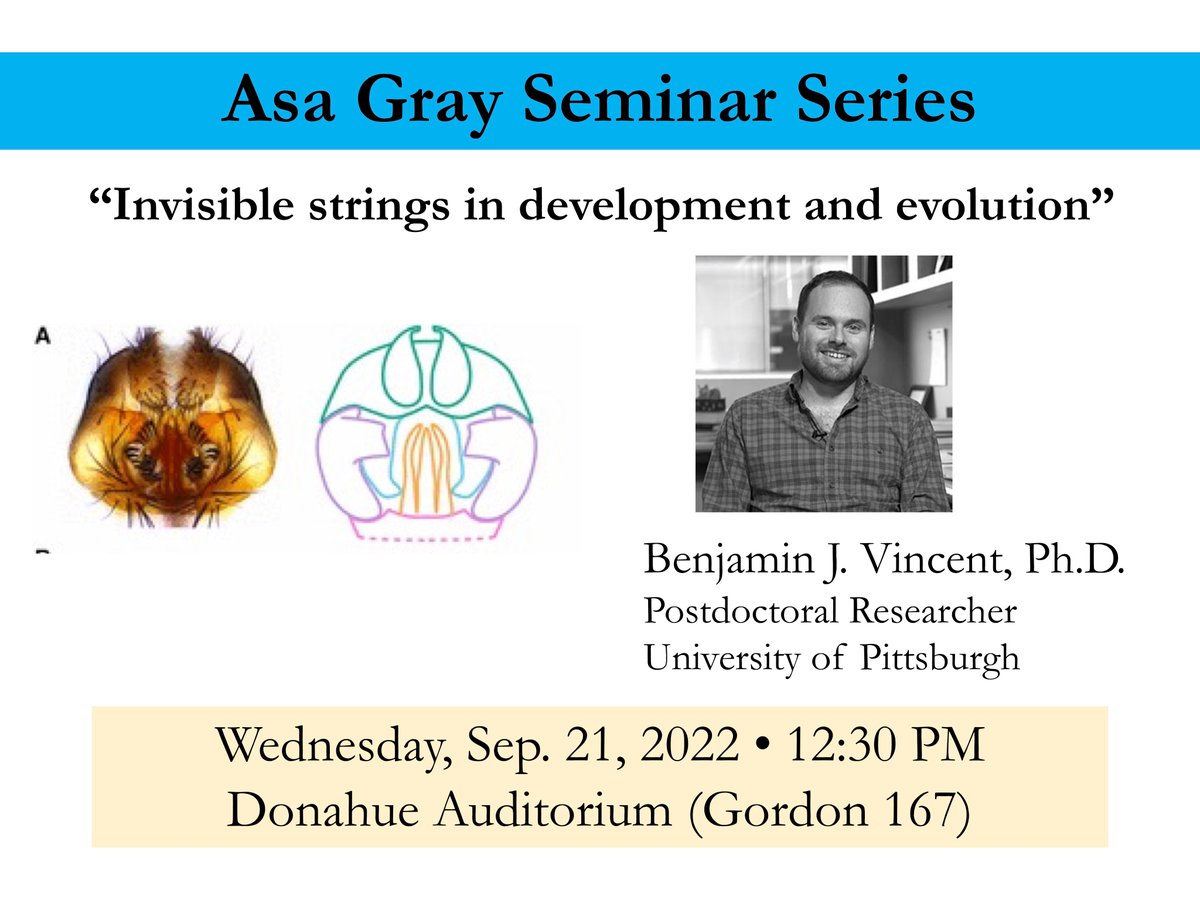 We are thrilled to welcome <a href="/benjvincent/">Ben Vincent</a> this Wed 9/21 to give our first Asa Gray seminar of the semester! 

Dr. Vincent joins us from <a href="/RebeizLab/">Mark Rebeiz</a> at Pitt for his talk "Invisible strings in development and evolution", 12:30 PM, Donahue Aud. (Gordon 167)
<a href="/Utica_Asa_Gray/">Asa Gray Biological Society</a>