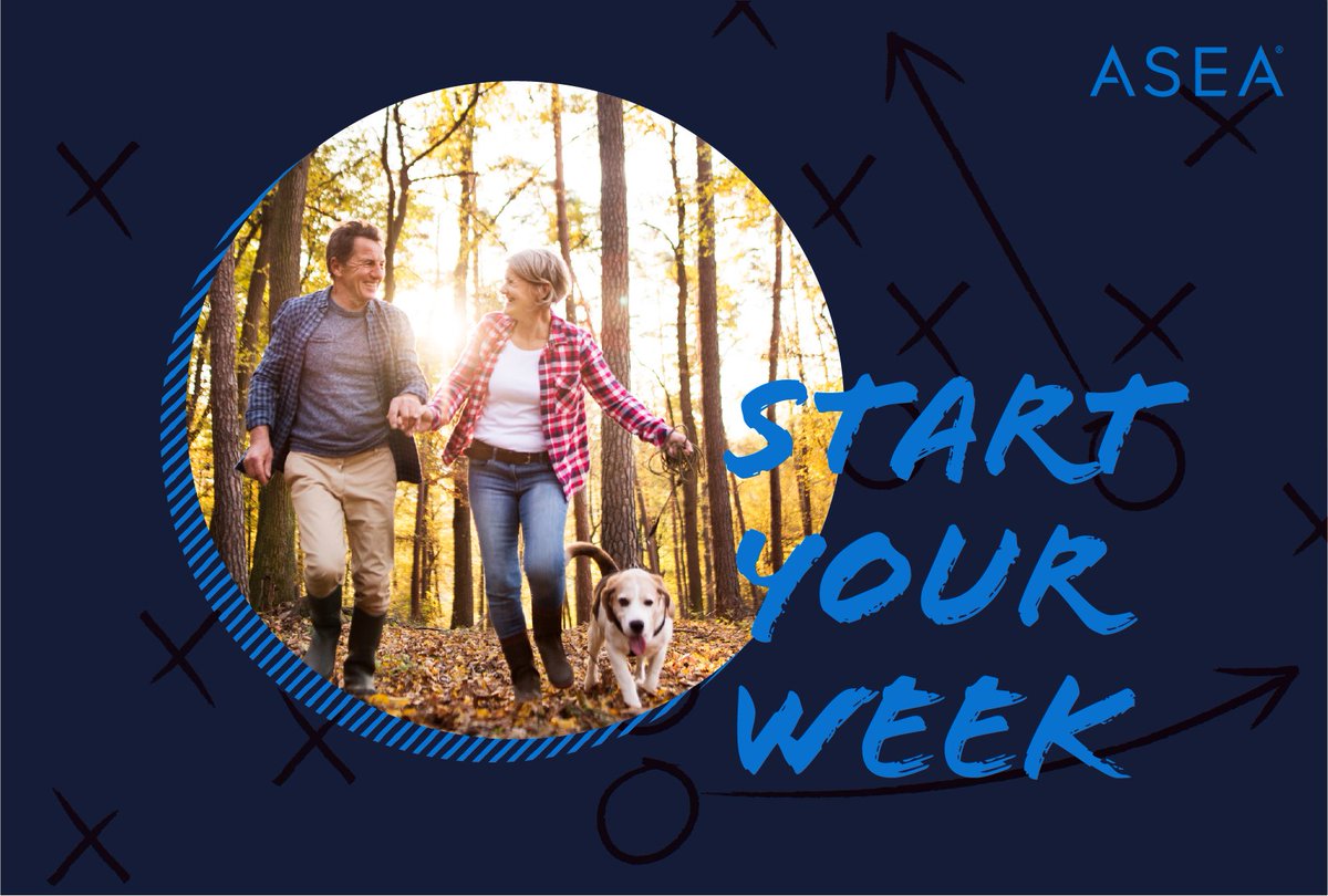 ASEA Corporate tweet media