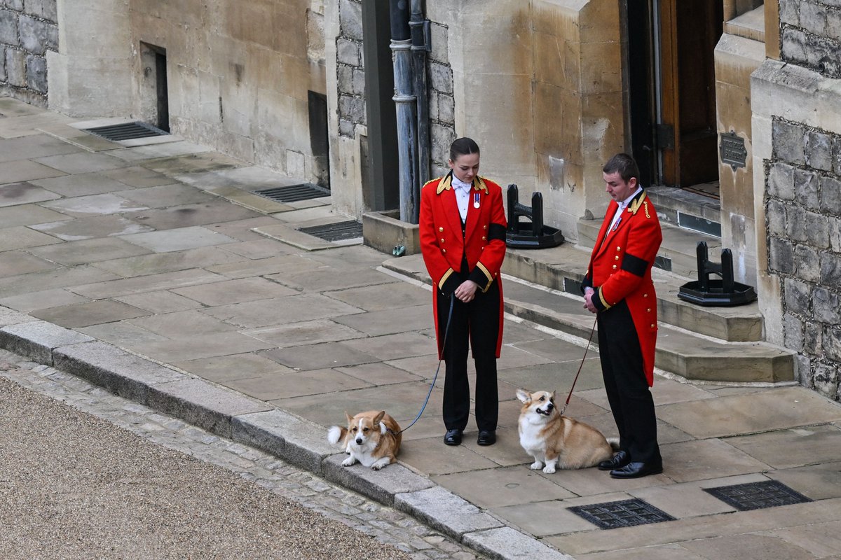 enews's tweet photo. The Queen's corgis, Muick and Sandy, are walked inside Windsor Castle ahead of the arrival of her coffin. ♥️ https://t.co/lSFmkkr6Yy