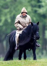 JoanneReynard's tweet photo. #Emma #Muick and #Sandy wowzers you got me 😭 the best tribute to the #Queen from loving animals over the years - such a kind loving person- you can tell that as all the animals loved her as much as she loved them. #QueensAnimals https://t.co/aJ4N21ZtC6