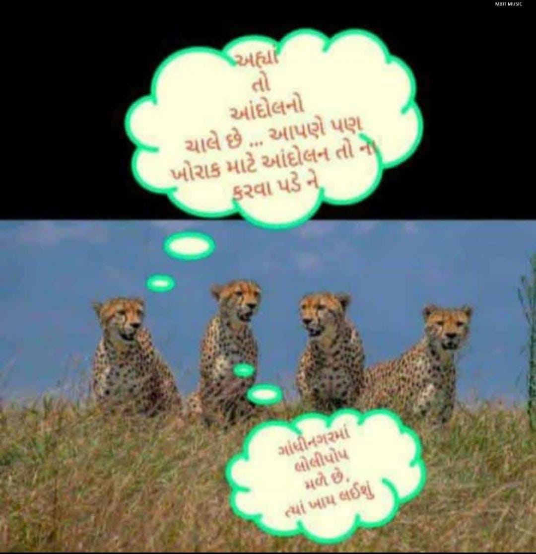 जो तौर है दूनियाँ का उसी तौर से बोलो |
बहरों का इलाका हैं,जरा जोर से बोलो |
#WeWantOPS 
<a href="/ArvindKejriwal/">Arvind Kejriwal</a> <a href="/CMOGuj/">CMO Gujarat</a> <a href="/nopruf_Guj/">NOPRUF Gujarat (official)</a> <a href="/BJP4Gujarat/">BJP Gujarat</a> <a href="/AAPGujarat/">AAP Gujarat</a> <a href="/EtvGujaratiNews/">Etv News Gujarati</a> <a href="/abpasmitatv/">ABP Asmita</a> <a href="/VtvGujarati/">VTV Gujarati News and Beyond</a> <a href="/aajtak/">AajTak</a> <a href="/PravinRam_/">Pravin Ram.</a> <a href="/isudan_gadhvi/">Isudan Gadhvi</a> <a href="/BJP4India/">BJP</a> <a href="/PMOIndia/">PMO India</a> <a href="/Bhupendrapbjp/">Bhupendra Patel</a> <a href="/jitu_vaghani/">Jitu Vaghani</a>