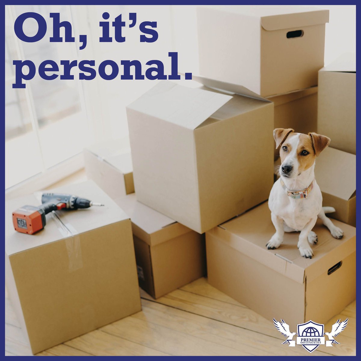 HomeAutoQuotes's tweet image. Looking for the right coverage for your personal property? Stop scrolling right now! We’re here to help! 🏡

Request your free quote today!
premiershieldinsurance.net/personal-insur…
..
#PremierShieldInsurance #PremierShield #personalinsurance #insurewhatsimportant #protectwhatsimportant