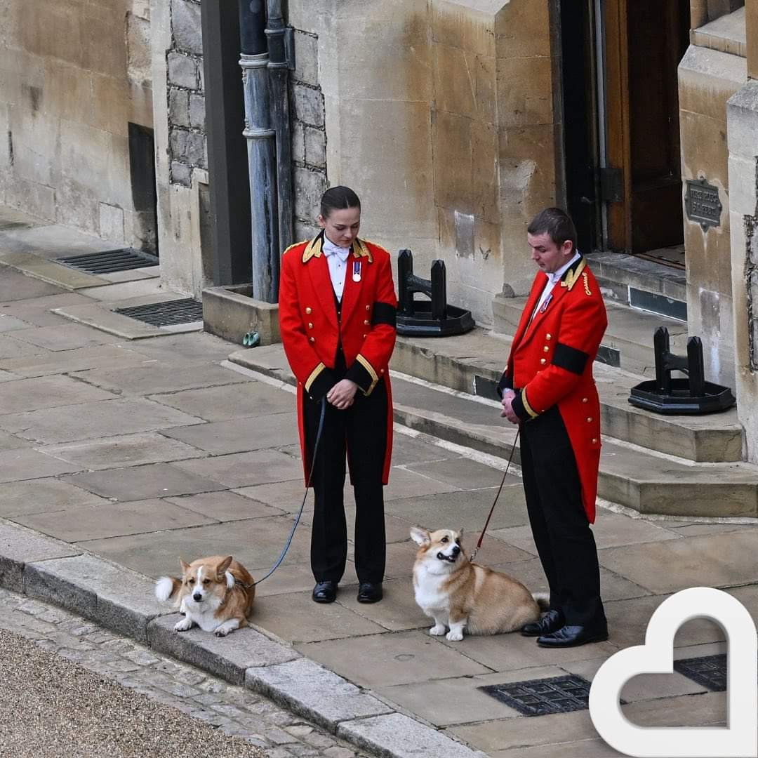 RebekkaMary's tweet photo. This is the saddest photo of all 😭💔💔💔 #queensfuneral https://t.co/NmchOdnSAB