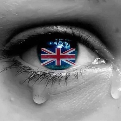 <a href="/alan_astin/">Alan Astin Zululatic</a> So proud to be British today