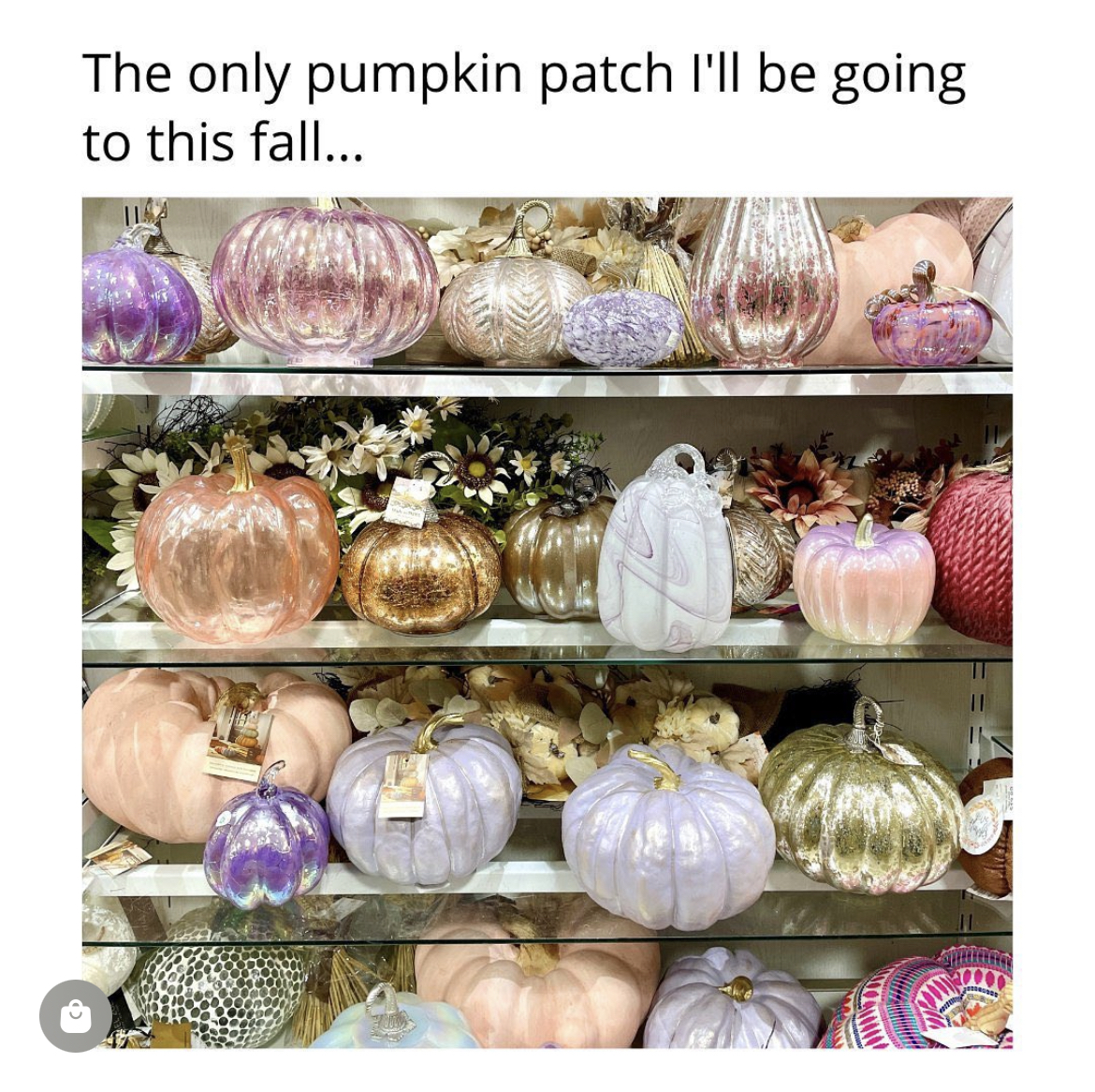 Gulf Coast Town Ctr tweet media