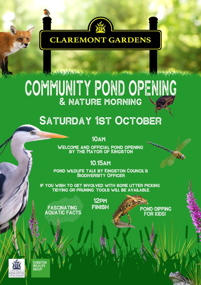 SURBITON WILDLIFE tweet media