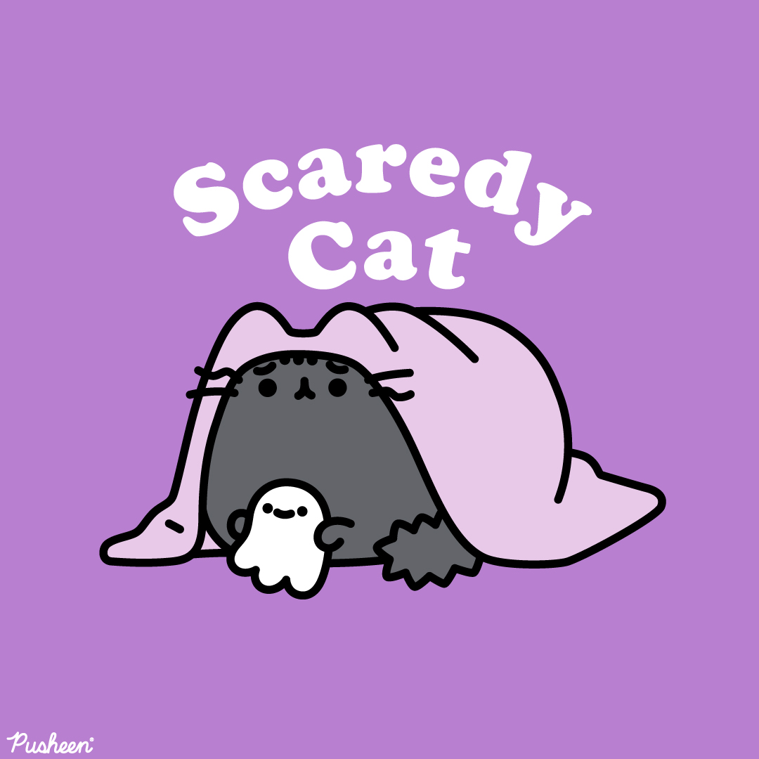 Pusheen the cat tweet media