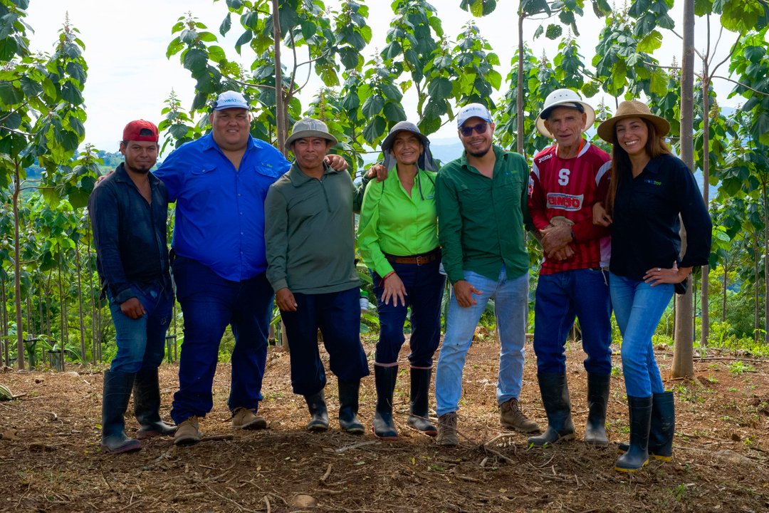 World Tree tweet media