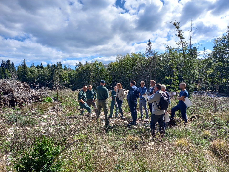 #FranceRelance | La préfète de l'#Ain a visité le chantier d'implantation de reconstruction de la forêt de #Charix.
La parcelle forestière visitée, replantée sur 4ha avec 
pins laricio de Calabre et cèdres du Liban, a bénéficié de 19 000€ dans le cadre du Plan France Relance.