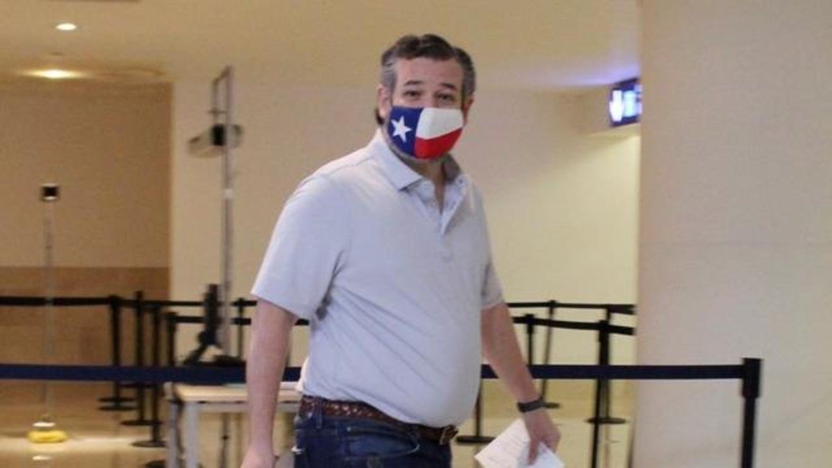 FedUpSenators's tweet photo. Ted Cruz (R - TX) https://t.co/hGUpSgdcn6