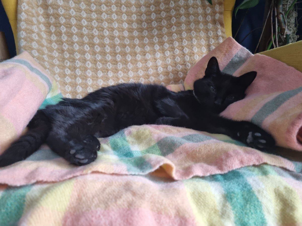 Commute Club tweet media