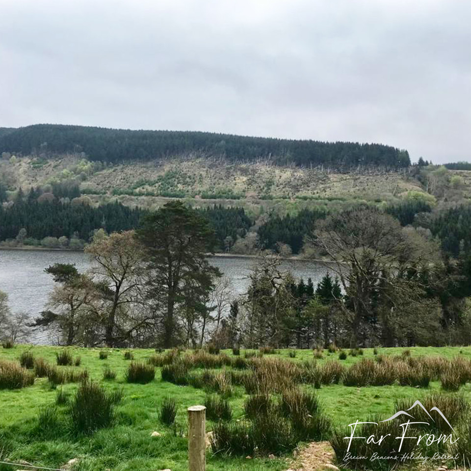 FarFromBrecon's tweet photo. Perfect view in the mornings 🤩😍
#farfromholidayretreat #hottublodge #rescueanimals #animalsanctuary #farmanimals #thereasonbehind #lovewhatwedo #meettheanimals #meetthefamily #loveouranimals #visitwales #cymru #cardiff #pembrokeshire #breconbeacons #glamping https://t.co/9Exi6lg13J