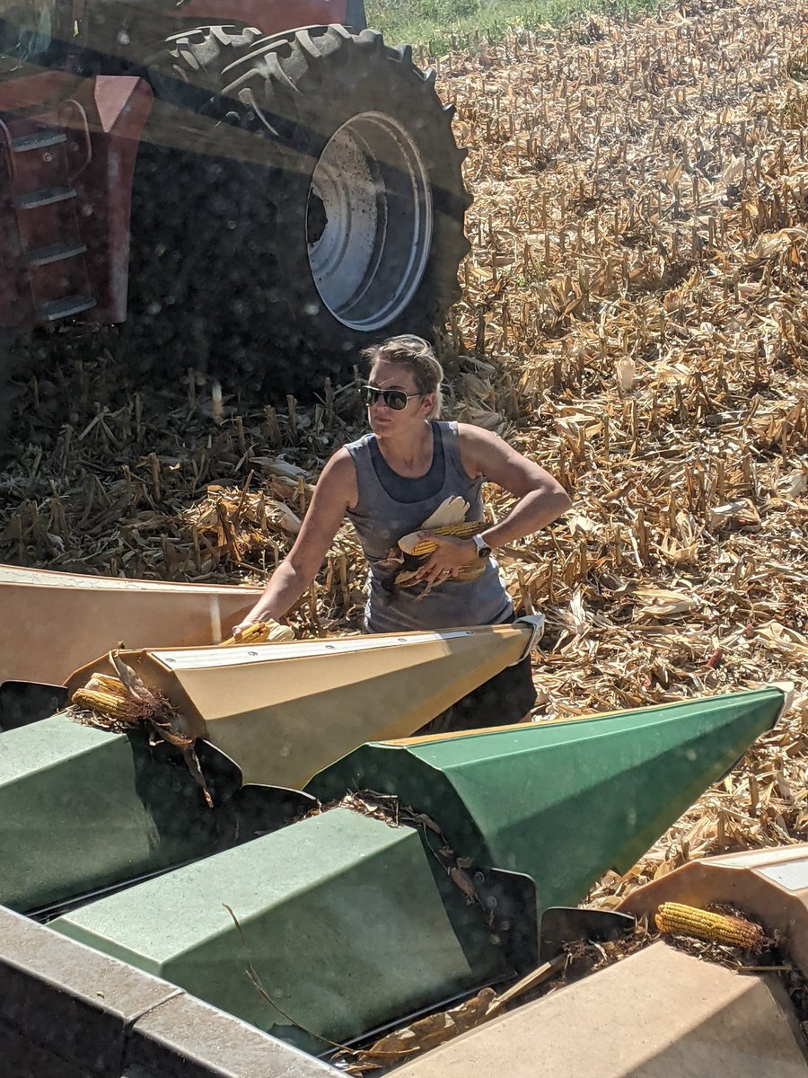 My grain cart driver is better than yours no question!