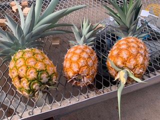 CreeksideCTI tweet media