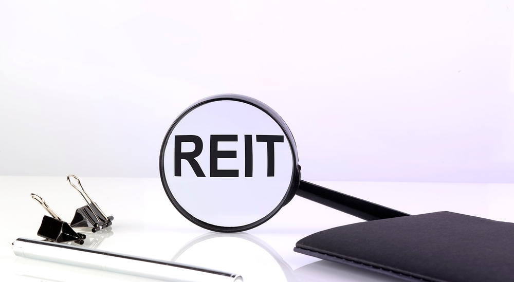 ETFsStockPicker's tweet image. #Alternatives_Channel #alternatives_channel #VGISX #Virtus #virtus_a Public REITs Offer Distinct Performance Advantages dlvr.it/SYc9zg bit.ly/3Avj28T