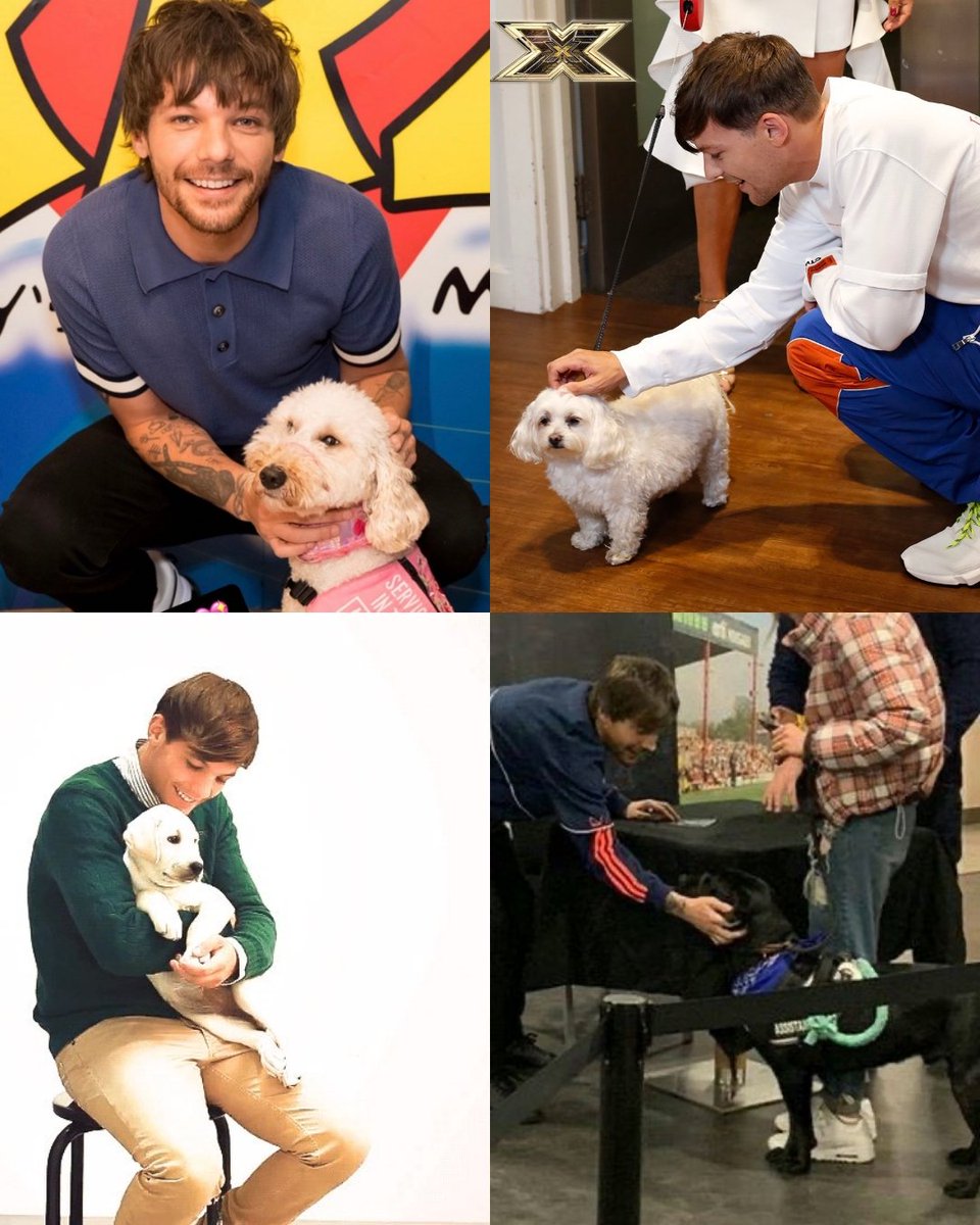sparkleslouist's tweet photo. 🐾 https://t.co/Xzah2cCJ9V