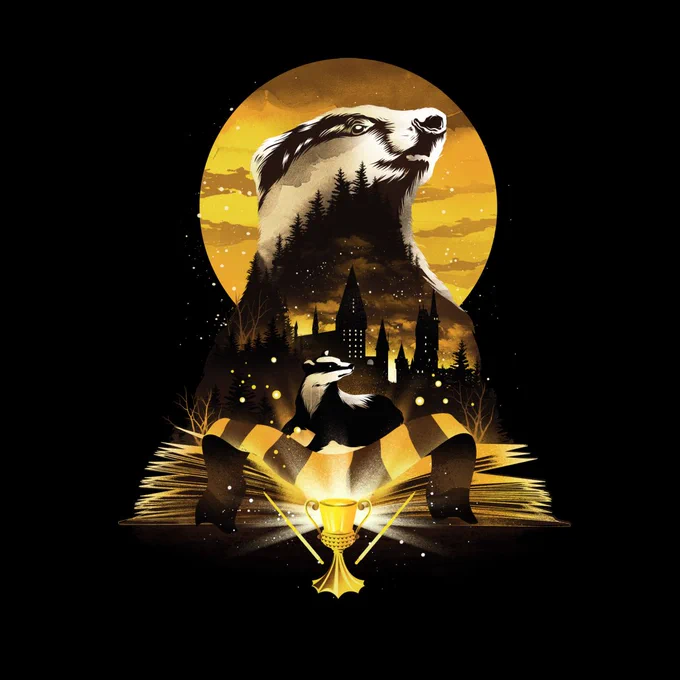 Las cuatro casas de  Gryffindor, Slytherin, Ravenclaw y Hufflepuff. 