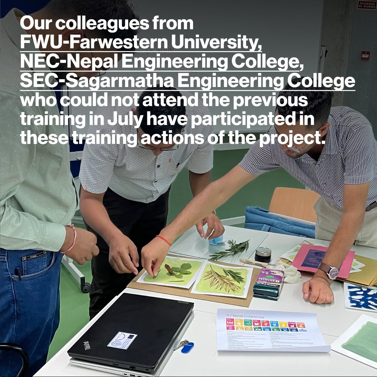 B+Nesdg Project tweet media