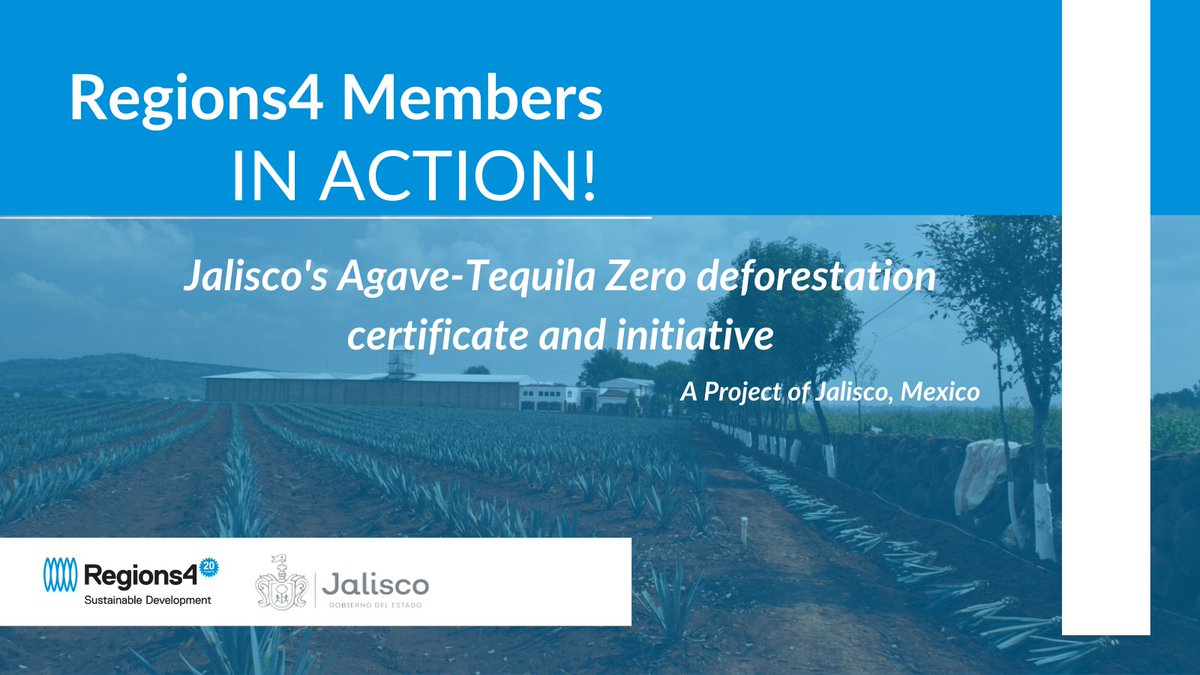 Regions4SD's tweet photo. #Regions4Climate Learn how @GobiernoJalisco Agave-Tequila Zero deforestation certificate and initiative aims to #ReduceDeforestation 50% by 2024, and 100% by 2030 #RegionsVoice
https://t.co/9yhZjpeh2X https://t.co/THK9MJlLir