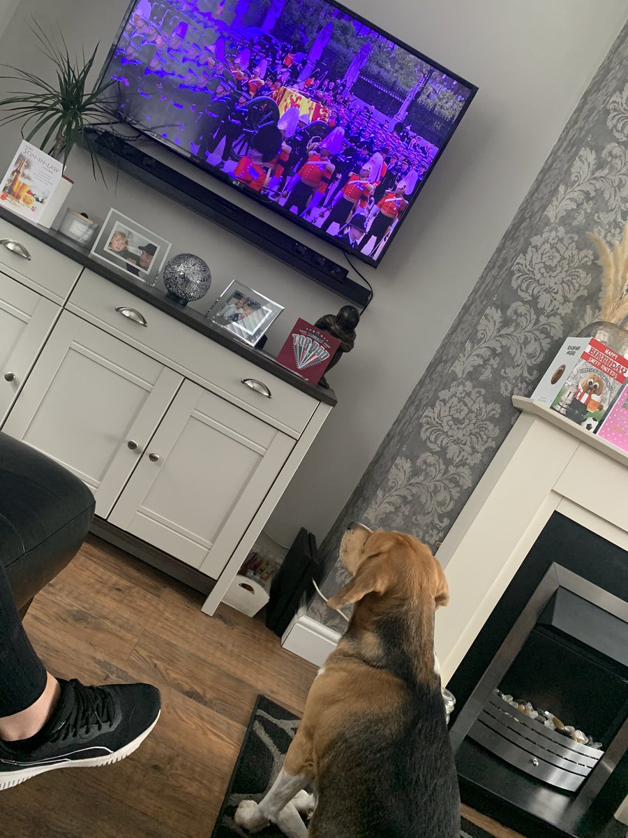 andygazza12's tweet photo. Showing his respect to the queen.  He’s not moved for 2 hours. https://t.co/7ZLr7wirCS