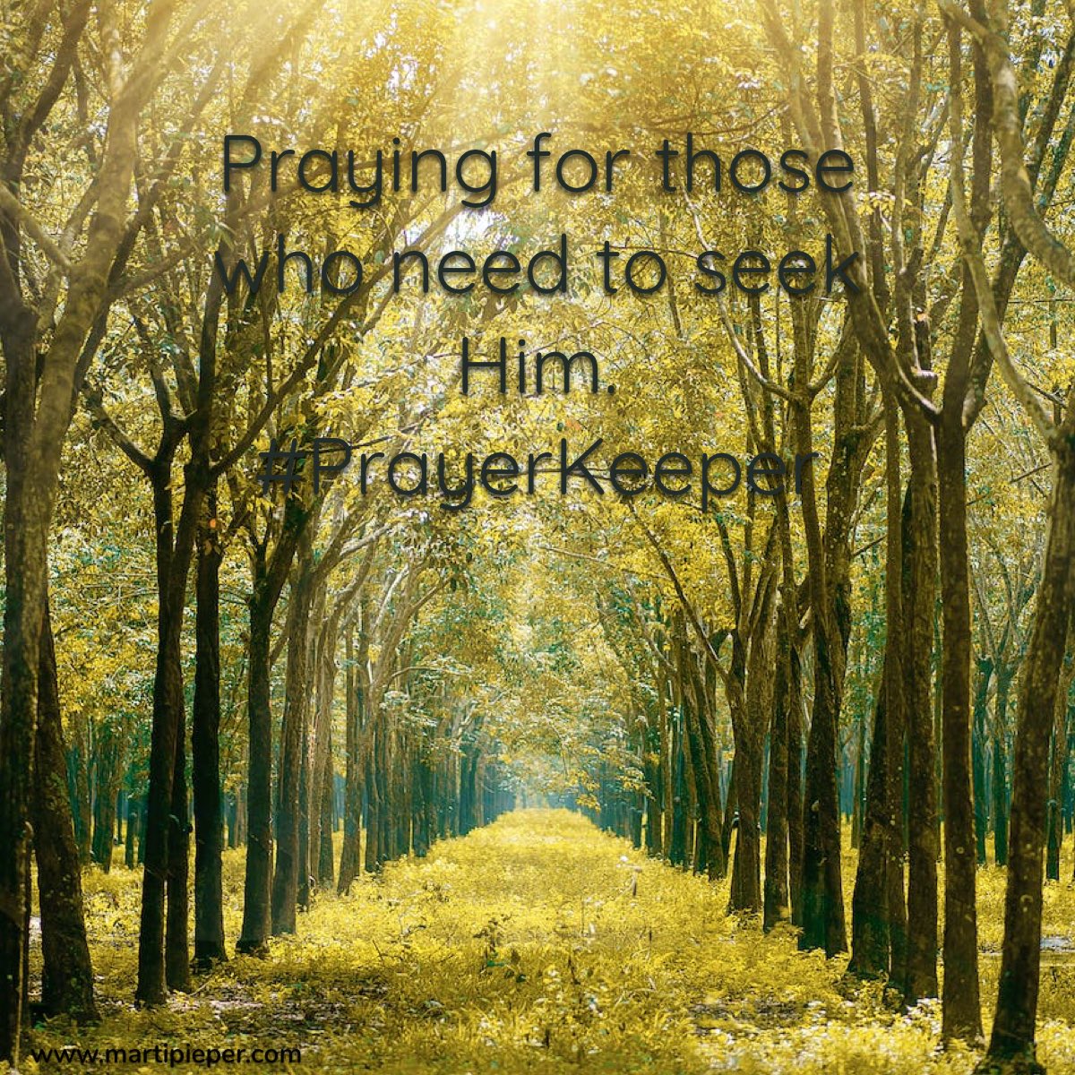 MartiPieper's tweet photo. And live. #PrayerKeeper #ampraying https://t.co/RhN27gPOl6