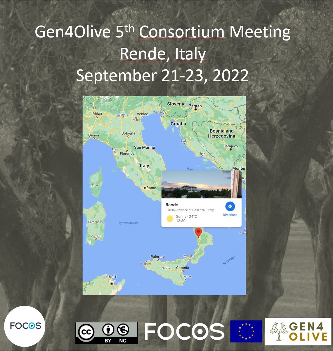 FOCOS_FOOD's tweet photo. Looking forward to meeting friends and colleagues at the 5th. @Gen4Olive consortium meeting in #Rende, Italy.
There will shortly be a further #callforfunding for #SME
#olives
#breeding
#diseaseresistance
#climatechange
@FoodSafetyMind
@FOCOS_FOOD https://t.co/OcXBf5dV6D