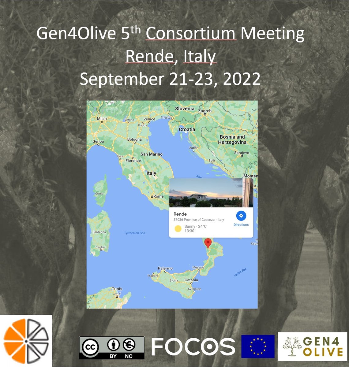DemistifyFood's tweet photo. Looking forward to meeting friends and colleagues at the 5th. @Gen4Olive consortium meeting in #Rende, Italy.
There will shortly be a further #callforfunding for #SME
#olives
#breeding
#diseaseresistance
#climatechange
@FoodSafetyMind
@FOCOS_FOOD https://t.co/h01kI9TWW2