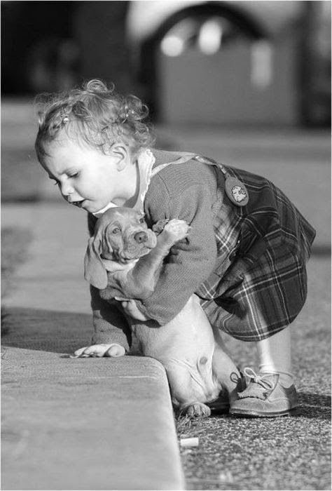 Justice_Seeker5's tweet photo. Let the beauty 
               of what you love 
                                be what you do. 

Rumi https://t.co/tu6PR0HBbx