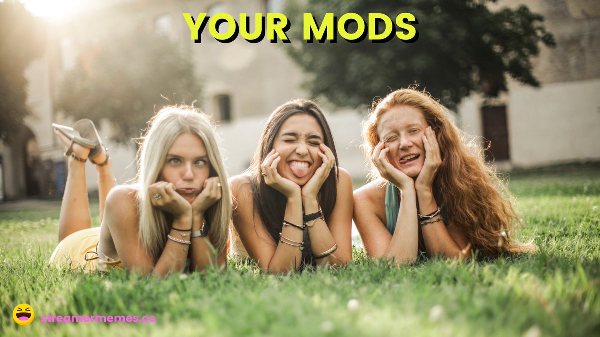 TierListMakers's tweet photo. Share some love for your Mods - amazing people that support your #Twitch channel day in day out 💪💪 https://t.co/5oJ4oRPkri