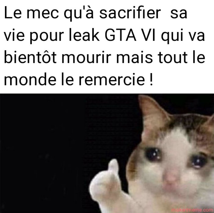 _kwilaw_'s tweet photo. Quand tu fait un make it meme en Septembre 2022 😂 #GTA6 #gta6leaked #GTA6leak #GTAVI https://t.co/mclV32XIx0