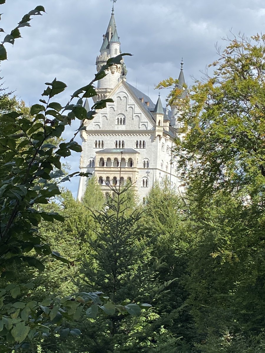 Steve Kitson tweet media